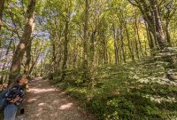 Ireland-Galway-2025-145