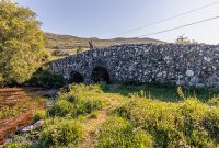 Ireland-Galway-2025-150