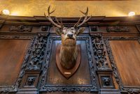 Ireland-Galway-2025-174