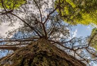 Ireland-Galway-2025-177