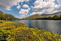 Ireland-Galway-2025-183