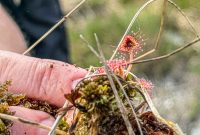 Ireland-Galway-2025-187