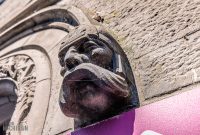 Ireland-Galway-2025-53