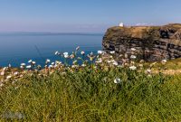 Ireland-Galway-2025-6