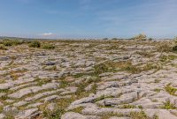 Ireland-Galway-2025-7