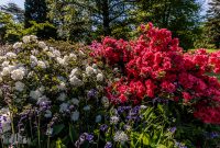 Ireland-Kinsale-2025-159