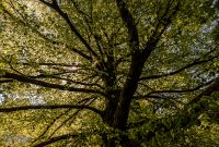 Ireland-Kinsale-2025-163