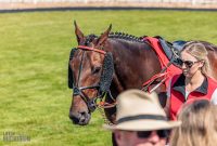 Ireland-Kinsale-2025-67