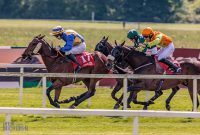 Ireland-Kinsale-2025-74