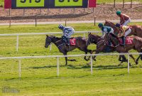 Ireland-Kinsale-2025-75