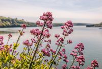 Ireland-Kinsale-2025-85