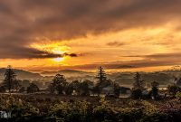 Ireland-Letterkenny-2025-1