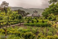 Ireland-Letterkenny-2025-27