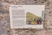 Ireland-Letterkenny-2025-74