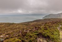 Ireland-Letterkenny-2025-83