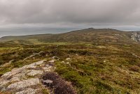 Ireland-Letterkenny-2025-84