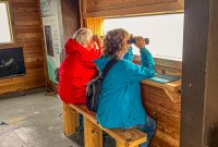 Ireland-Letterkenny-2025-88