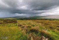 Ireland-Letterkenny-2025-92