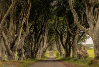 Ireland-Portrush-2025-17
