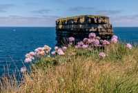 Ireland-Sligo-2025-29