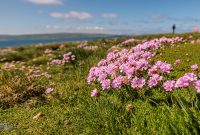 Ireland-Sligo-2025-32