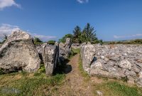 Ireland-Sligo-2025-5