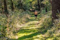 Iron-Creek-Nature-Preserve-Manchester-2025-3