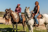 Hats-Horses-Iron-Fish-2019-51