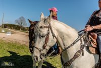 Hats-Horses-Iron-Fish-2019-52