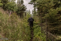 Isle Royale-106