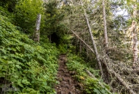 Isle Royale-40
