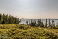 Isle Royale-46