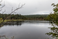 Isle Royale-56