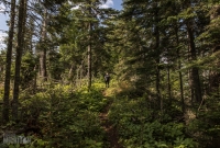 Isle Royale-64