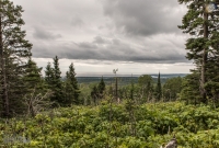 Isle Royale-66