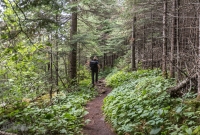 Isle Royale-75