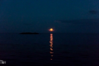 Isle Royale-82