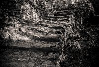 Italy-Cinque-Terra-2023-13