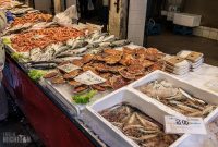 Italy-Venice-2023-74