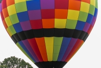 Jackson Hot Air Balloon Jubilee