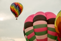 Jackson Hot Air Balloon Jubilee