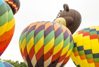 Jackson Hot Air Balloon Jubilee