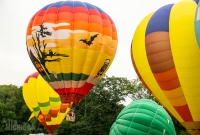 Jackson Hot Air Balloon Jubilee