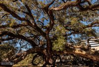 Jacksonville-St-Augustine-FL-2026-1