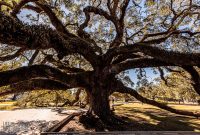 Jacksonville-St-Augustine-FL-2026-4