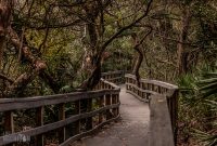 Jacksonville-St-Augustine-FL-2026-92