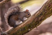 Jacksonville-St-Augustine-FL-2026-93