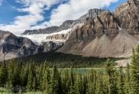 Jasper - Day 1-1