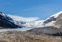 Jasper - Day 1-2