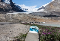 Jasper - Day 1-5